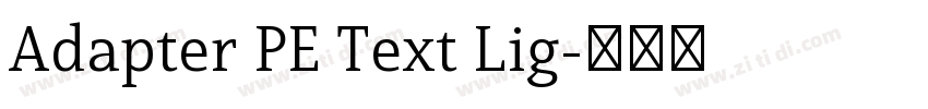 Adapter PE Text Lig字体转换